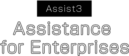Assist3 Assistance for Enterprises